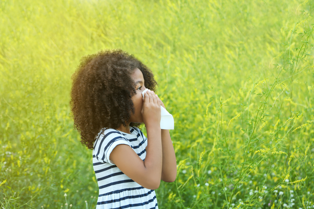 Grass Allergies Black And Kletz Allergy